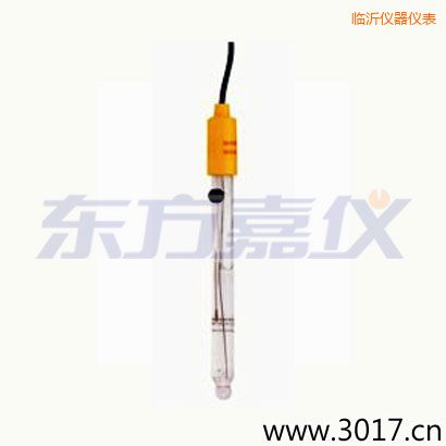 臨沂可填充玻璃管電極